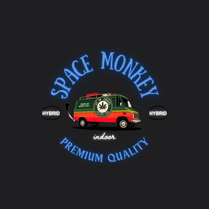 Space Monkey AAA Grade (Indoor - Hybrid) (Limited Stock!)